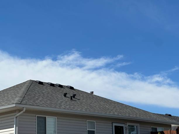 Best Emergency Roof Repair  in USA